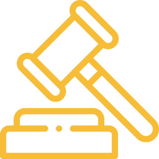 Trial Court Representation