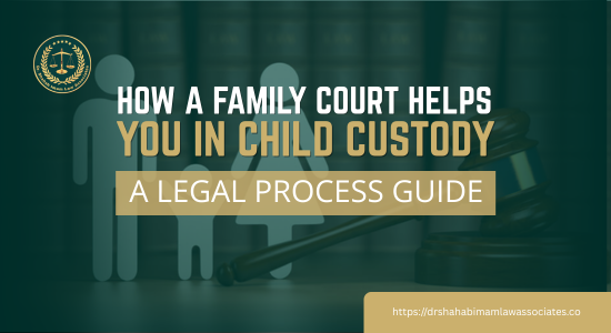 How Family court handle child custody cases